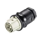 Wieland - embase RST20i2 M20 femelle à vis Gris foncé