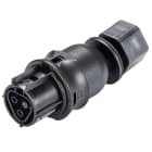 Wieland - embase RST20i2 coudé 7° M16 femelle à vis Noir