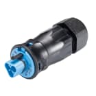 Wieland - connecteur RST20i3 mâle à ressort 13-18mm Bleu clair