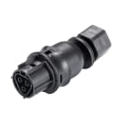 Wieland - embase RST20i3 coudé 7° femelle M16 à ressort Noir