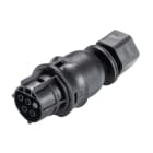 Wieland - embase RST20i4 coudé 7° femelle à vis M16 Noir