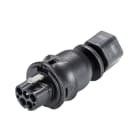 Wieland - embase RST20i4 coudé 7° mâle à vis M16 Noir