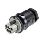 Wieland - embase RST25i5 mâle à vis M20 Gris