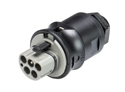 Wieland - embase RST25i5 mâle à vis M16 Gris