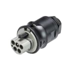 Wieland - embase RST25i5 mâle à vis M16 Gris