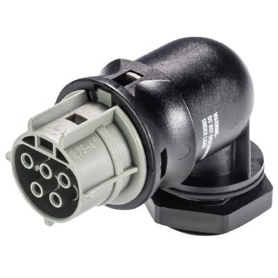 Wieland - embase RST25i5 coudé femelle à vis M25 Gris foncé