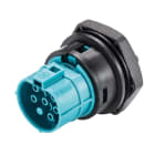 Wieland - Embase RST20i6 M32 femelle à vis turquoise