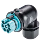 Wieland - Connecteur RST20i6 coudé mâle simple à vis turquoise