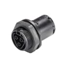 Wieland - embase RST20i3 femelle M25 à sertir Noir