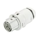 Wieland - embase RST20i3 femelle M20 à sertir Gris clair