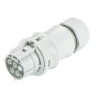 Wieland - connecteur RST20i5 femelle à sertir 10-14mm Gris clair