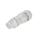 Wieland - connecteur RST20i5 femelle à sertir 13-18mm Gris clair