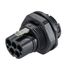 Wieland - embase RST20i5 mâle à sertir M25 Noir