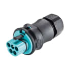 Wieland - connecteur RST20i5 mâle à sertir 10-14mm Turquoise