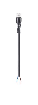 Wieland - Cordon RST20i2 2m F/- 1,5² HO5VVF gris clair (eca)