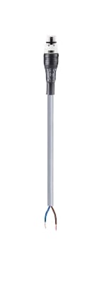 Wieland - cordon RST20i2 3m M/- 1,5² Öflex Gris ASI (Eca)
