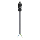 Wieland - cordon RST25i3 1m M/- 4² HO7RNF Gris foncé