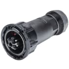 Wieland - connecteur RST50i4 mâle à vis 20-32mm Noir