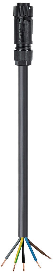 Wieland - Cordon RST16i5 1m F/- 1,5² HO5VVF Noir (Eca)