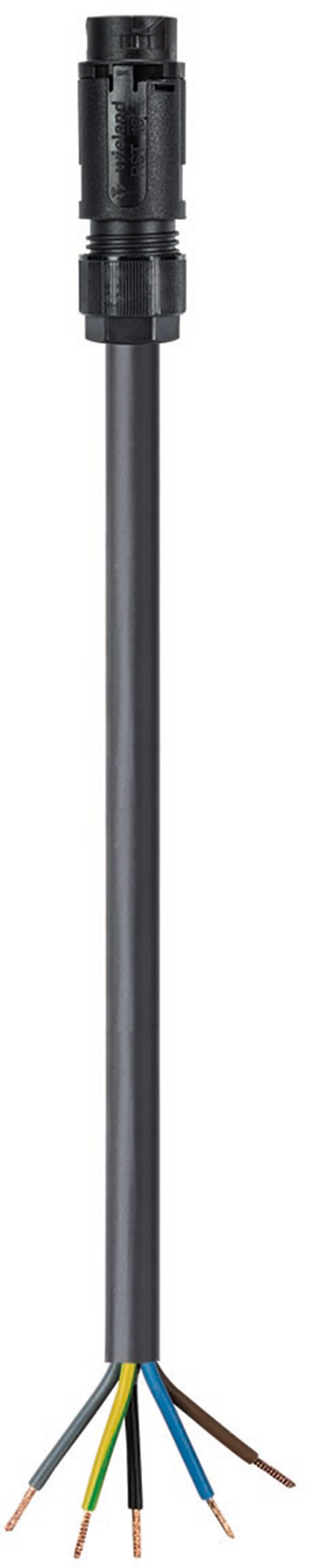 Wieland - Cordon RST16i5 3m M/- 1,5² HO5VVF Noir (Eca)