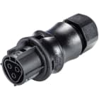 Wieland - connecteur RST20i3 femelle à vis 6-10mm Noir