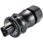 Wieland - connecteur RST20i3 mâle à ressort 6-10mm Noir