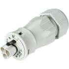 Wieland - connecteur RST20i3 mâle à vis 13-18mm Gris clair