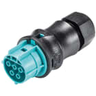Wieland - connecteur RST25i3 coudé mâle à vis 6-10mm Gris