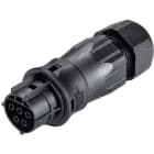 Wieland - connecteur RST20i5 femelle à vis 13-18mm Noir
