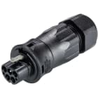 Wieland - connecteur RST20i5 mâle à vis 13-18mm Noir