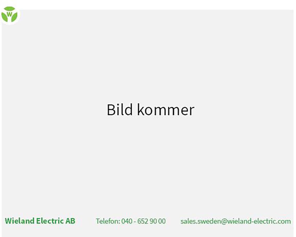 Wieland - cordon RST20i5 1m M/F 2,5² HO7RNF Turquoise (Eca)