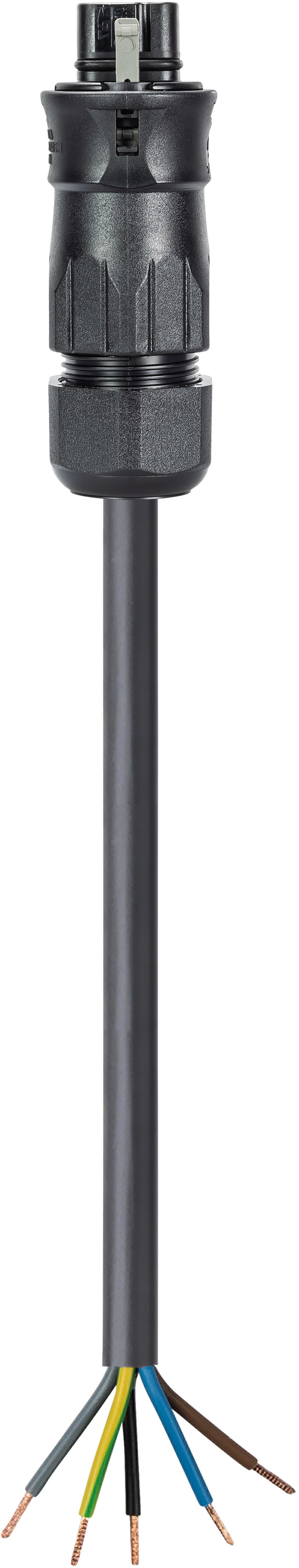 Wieland - cordon RST20i5 6m M/- 4² HO5VVF Noir (Eca)