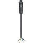 Wieland - cordon RST20i5 6m M/- 4² HO5VVF Noir (Eca)