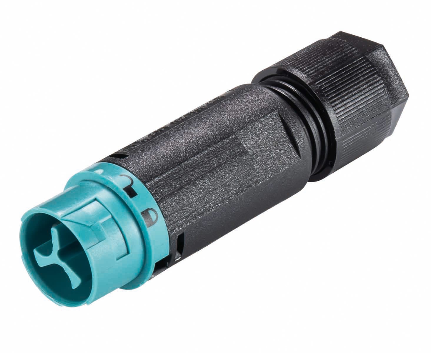 Wieland - Connecteur mâle RST16i2 ASI turquoise