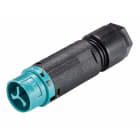 Wieland - Connecteur mâle RST16i2 ASI turquoise