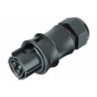 Wieland - connecteur RST20i2 femelle à ressort 10-14mm Noir