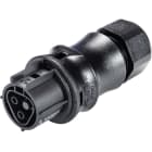 Wieland - connecteur RST20i2 femelle à vis 6-10mm Noir