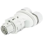 Wieland - connecteur RST20i3 femelle double à ressort 10-14mm Gris clair