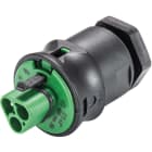 Wieland - embase RST20i3 mâle M20 à vis Vert