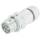 Wieland - connecteur RST20i4 femelle à vis 6-10mm Gris clair