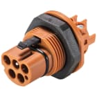 Wieland - embase RST20i4 mâle à vis M25 Marron