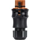 Wieland - connecteur RST20i5 mâle à vis 6-10mm marron