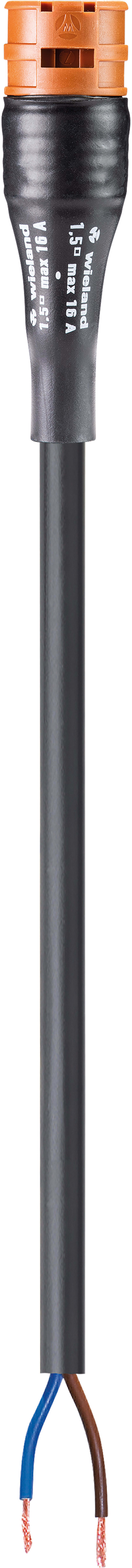 Wieland - cordon RST20i2 8m F/- 1,5² HO5VVF Marron (Eca)