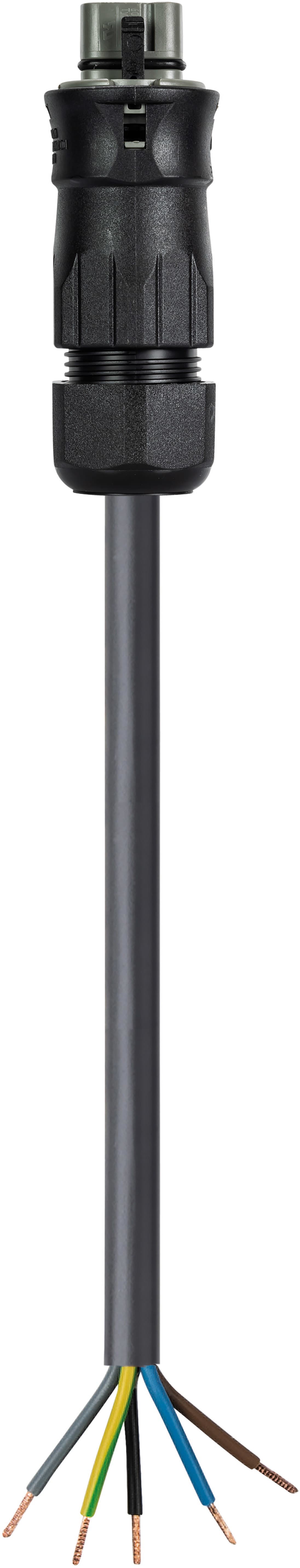 Wieland - cordon RST25i5 1,5m M/- 4² HO7RNF Gris foncé