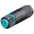 Wieland - connecteur femelle RST16i5 bleu turquoise