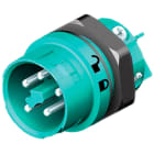 Wieland - embase mâle RST16i5 bleu turquoise