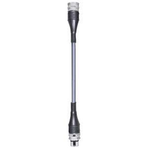 Wieland - cordon RST20i2 1m M/F 2,5² Öflex Gris ASI (Eca)