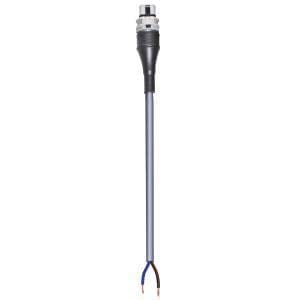 Wieland - Cordon RST20i2 2m M/- 1,5² öflex gris asi (eca)