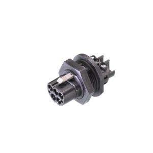 Wieland - embase RST20i5 mâle à sertir M25 Gris clair