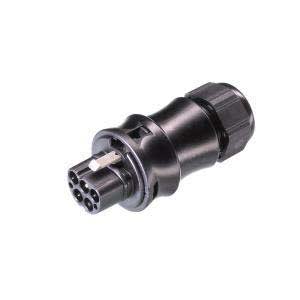 Wieland - connecteur RST20i5 mâle à sertir 6-10mm Gris clair